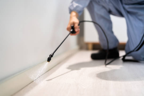 Licensed Mosquito Control service in Salyersville, KY - Show Me Pest Control