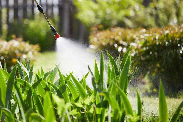 24/7 Emergency Mosquito Control experts in Salyersville, KY