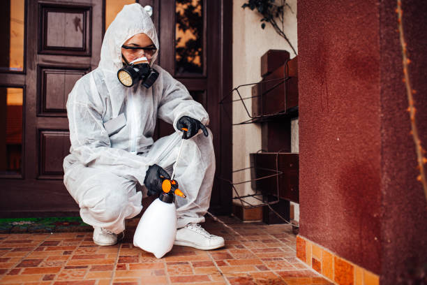 Reliable Mosquito Control contractor in Salyersville, KY by Show Me Pest Control